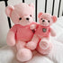 Cute pink Teddy Bear Plush Toy